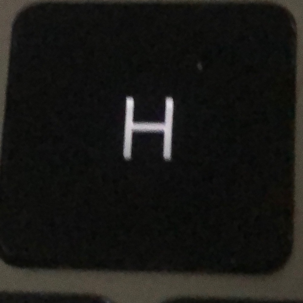 Meet your Posher, Harrison